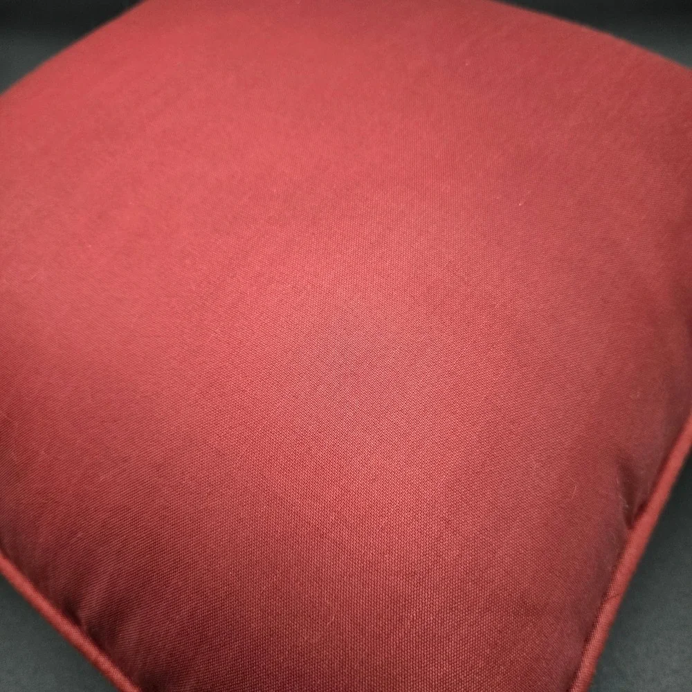 Antique Person‎ Pillow Been There Done That Can't Remember Throw Cushion 12x12